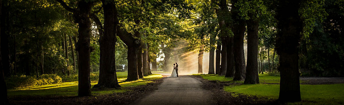 Couple in beautiful tree lined avenue with sunshine