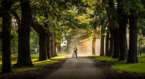 Couple in beautiful tree lined avenue with sunshine