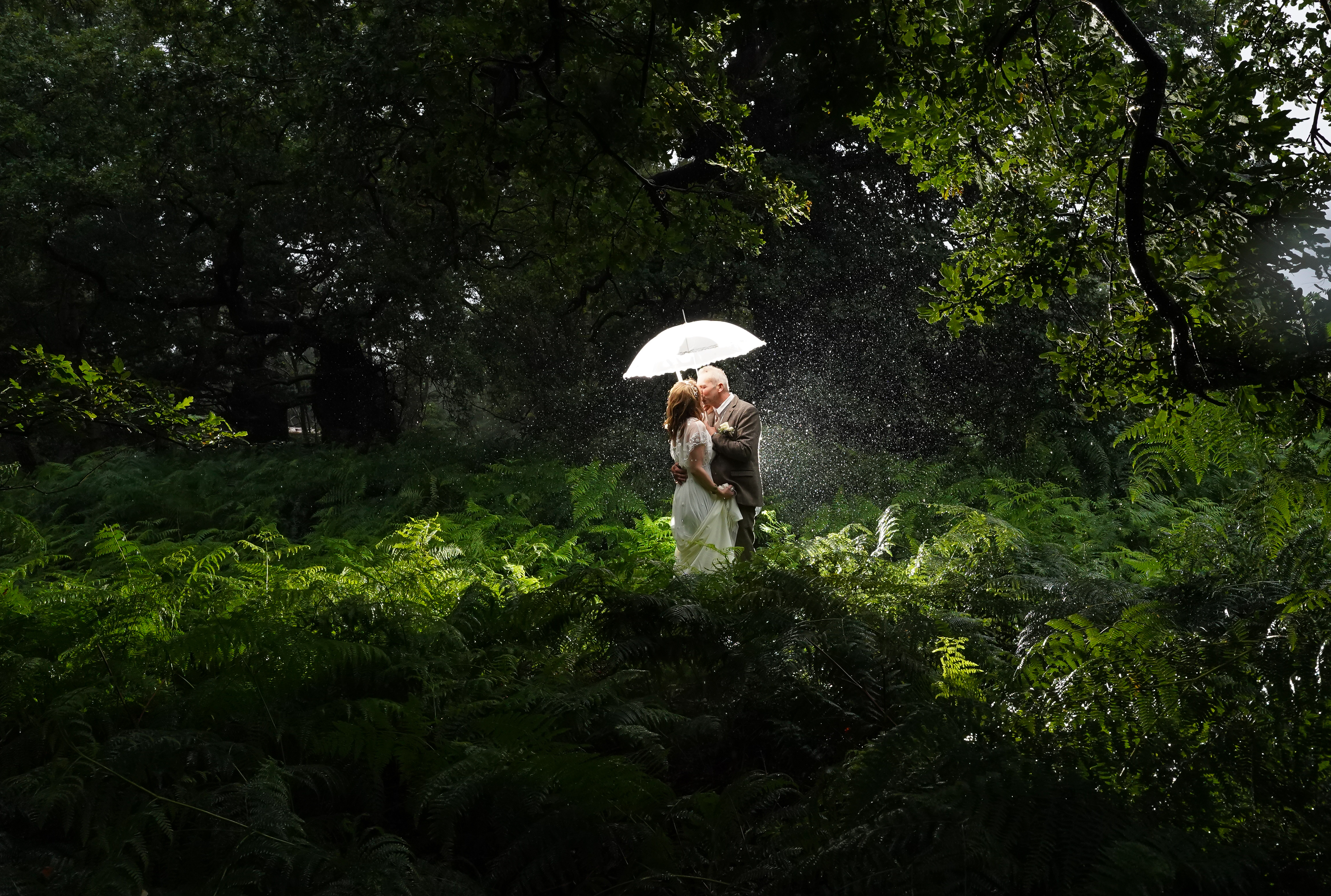 Senior couple in the forest kissing in the rain with groom holding a white umbrella