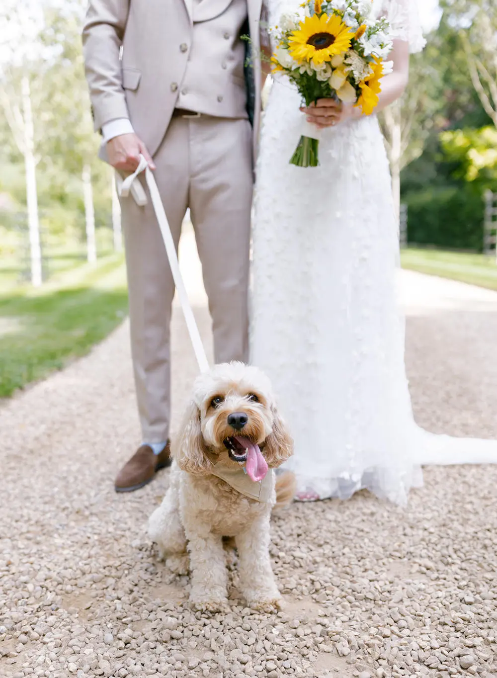 Bride and groom with dog